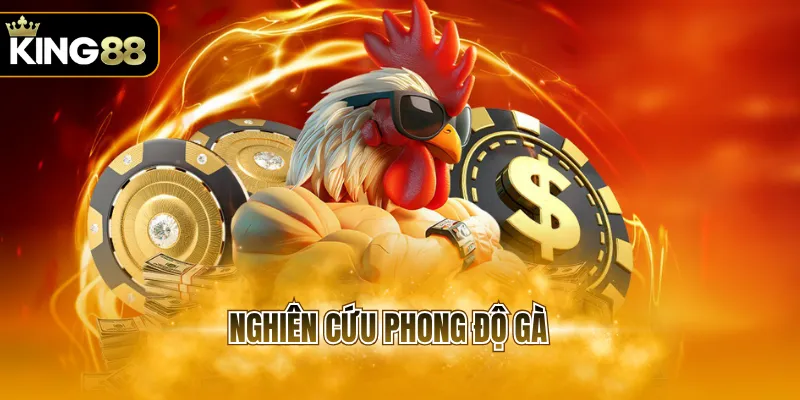 nghiên cứu phong độ gà