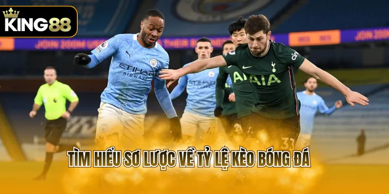 Tìm hiểu sơ lược về tỷ lệ kèo bóng đá